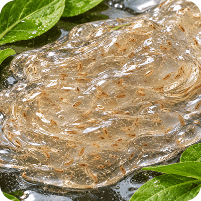 Mucilagem de Ispaghula